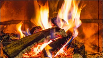 La Cathédrale Notre-Dame de Paris est de style...
