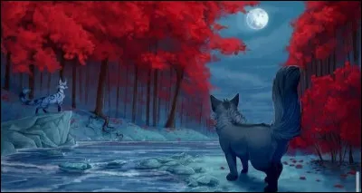 Si tu étais dans un clan et que tu étais apprenti, tu voudrais t'appeler...