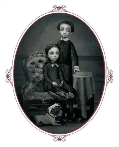 Sous quel pseudonyme Poe &eacute;criv&icirc;t son premier livre ?