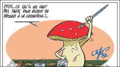 Nature : 
Le tricholome de la Saint-Georges est un champignon comestible. Parmi ces trois champignons, lequel est-ce ?