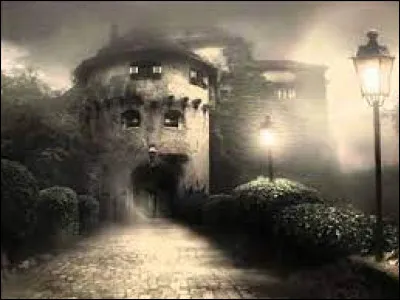 Si tu devais partir en voyage dans un endroit effrayant, quel moyen de transport utiliserais-tu ?