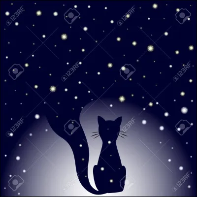 Aime-tu observer les étoiles ?