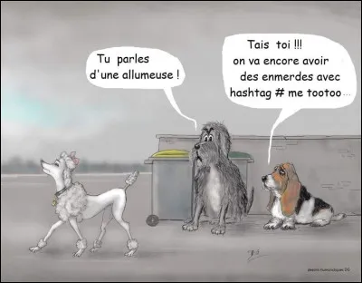 Non nous ne sommes pas des violeurs, non nous ne sommes pas des voleurs !