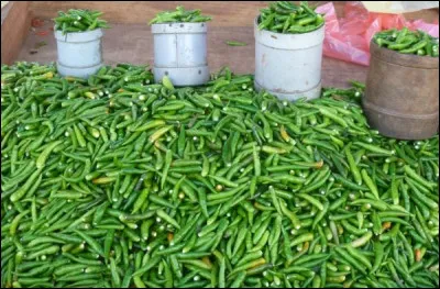 Quel défi n'aimerais-tu pas faire parmi ces réponses ?