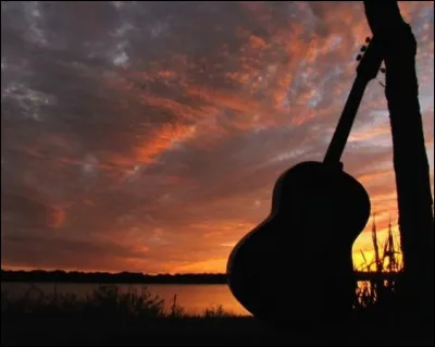 On termine avec "Dark Side of the Moon", interprétée par :