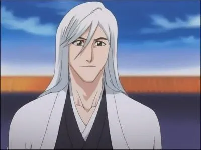 Dans Bleach qui est le capitaine de la 13me Division ?