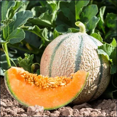 Quelle commune du Vaucluse est la plus peuplée du Parc national régional du Lubéron ?