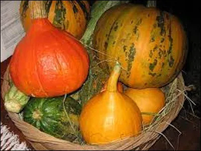 Citrouille : comment ce mot se traduit-il en anglais ?