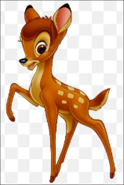 Comment s'appelle cet animal ?