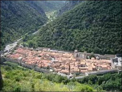 Commune de l'arrondissement de Prades, Villefranche-de-Conflent se situe dans le département ...