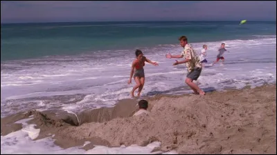 Épisode 1 : Celui qui soignait les piqûres de méduses.
Lequel des Friends fait pipi sur Monica à cause d'une piqûre de méduse ?