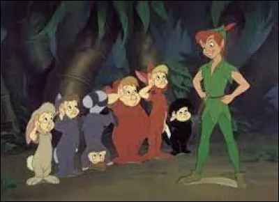 Dans le repaire de Peter Pan, on y trouve les...