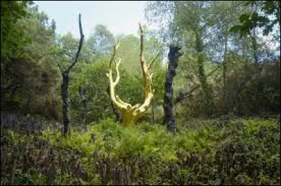 Que vient faire cet arbre d'or en pleine forêt bretonne ?