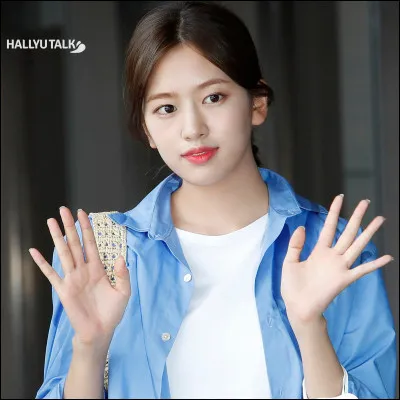 Quels sont tes animaux préférés ?