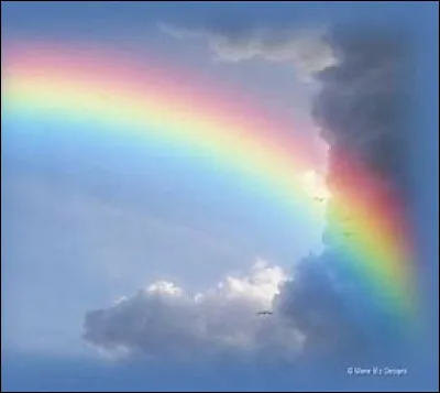 Quelles sont tes couleurs préférées ?