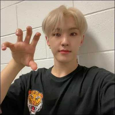 Comme son nom l'indique, Hoshi est fan absolu de tigres. Parmi ces chansons, laquelle ne lui appartient PAS ?