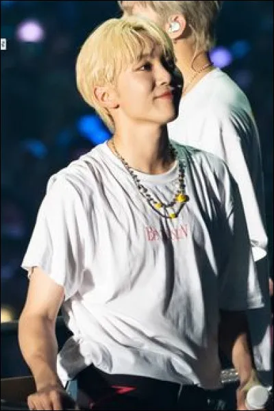 Seungkwan est connu pour son talent dans le divertissement mais surtout pour sa voix. De quelle OST n'est-il PAS le chanteur original ?