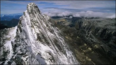 Quel pays a pour point culminant, à 4884 mètres d'altitude, le Puncak Jaya, situé sur l'île de Nouvelle-Guinée ?