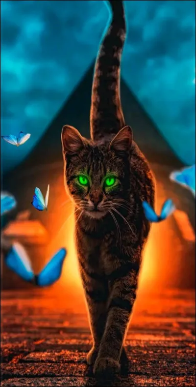 Un papillon passe devant toi, que fais-tu ?