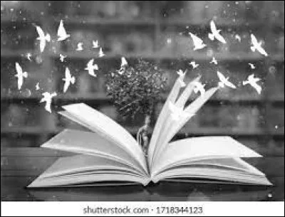 Dans quel roman rencontre-t-on Mère Barbarin ?