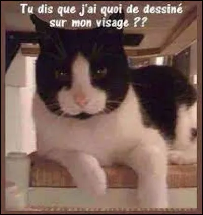 C'est un pêcheur qui se sert du chalut.