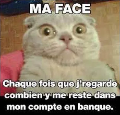 Éliminer, ou contribuer à lélimination à loccasion dune élection.