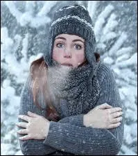 Lorsqu'il fait trs froid on dit qu'il... .