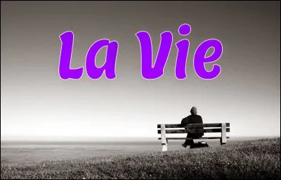 Comment dit-on "vie" en anglais ?