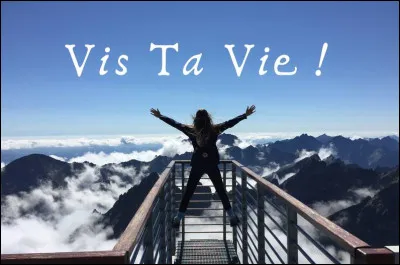 Qui chante "Vis ta vie" ?
