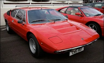 Quelle est cette belle sportive des années 70 ?