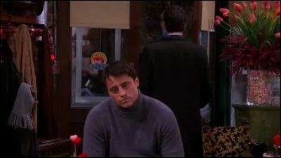 Épisode 15 : ''Celui qui visionnait la vidéo de laccouchement'' 
Quest-ce que Phoebe apporte à Joey lorsquil déprime à cause de Rachel ?