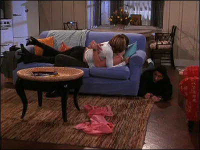 Épisode 17 : ''Celui quon voyait dans les feuilles de thé'' 
Quest-ce que Ross veut récupérer chez Mona ?