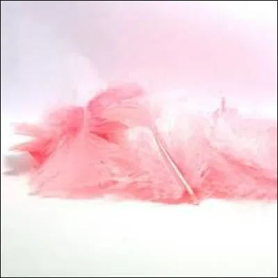 Comment voudrais-tu tappeler ?