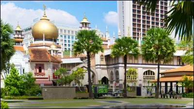 Ville : Little India est le quartier indien de Singapour, Chinatown le quartier chinois et Kampong Glam est le quartier...
