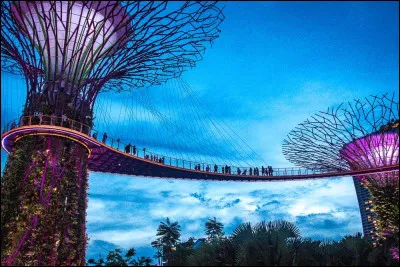 Insolite : Laquelle de ces anecdotes sur Singapour est inexacte ?