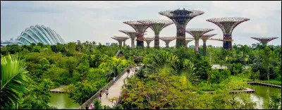 Culture : Comment est surnommée la ville de Singapour ?