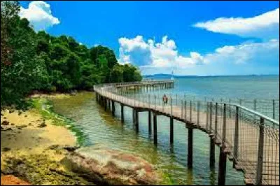 Économie : Comment appelle-t-on la réunion de Singapour, la Corée du Sud, Hong Kong et Taïwan ?