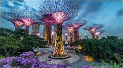 Ville : de combien de jardins est composé le Garden By The Bay