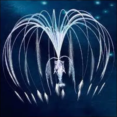 Quel Arbre-Esprit préfères-tu ?