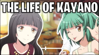 Combien y a-t-il de saisons ?