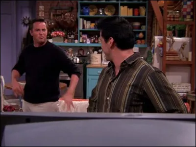 Épisode 7 : Celui qui faisait rire sa fille 
Quel objet Chandler et Joey volent-ils dans lappartement de Richard ?