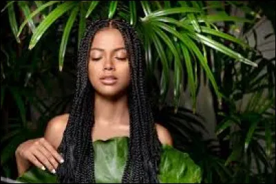 Qui chante "Métis(se)" en duo avec le rappeur Disiz La Peste en 2005 ?