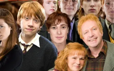 Quiz Harry potter