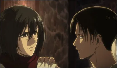 Qui est Mikasa pour Livaï ?