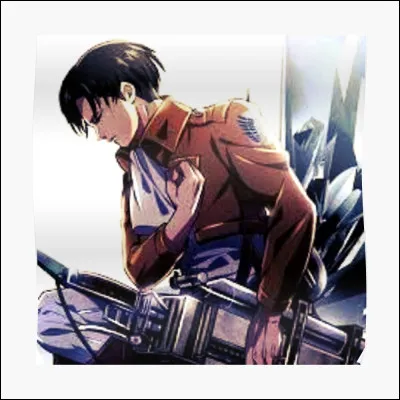 Quel est le nom de Livaï ?