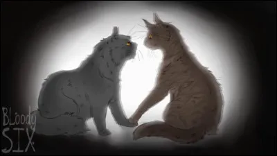 Ton chef félicite trois guerriers. Ce sont Plume de Suif, un coureur surpuissant, Patte de Pluie, un grimpeur hors pair, et Éclats de Brume, une chatte maline comme un renard. Tu rêves d'en avoir un pour mentor. Mais qui ?