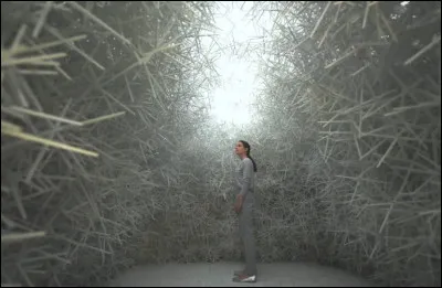 Navigue-t-il sur le Net actuellement en janvier 2023 ?