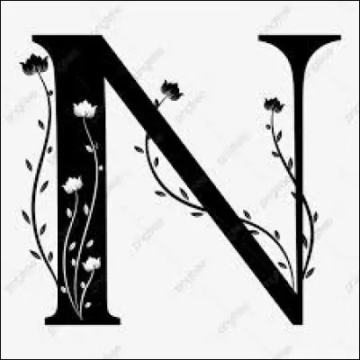 Quelle est la forme du fromage Neufchâtel ?