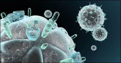 Quelle est la probabilité d'attraper ce virus si vous êtes drogué et partagez votre seringue avec un toxicomane séropositif ?