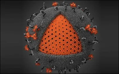 Laquelle de ces maladies opportunistes est digestive ?